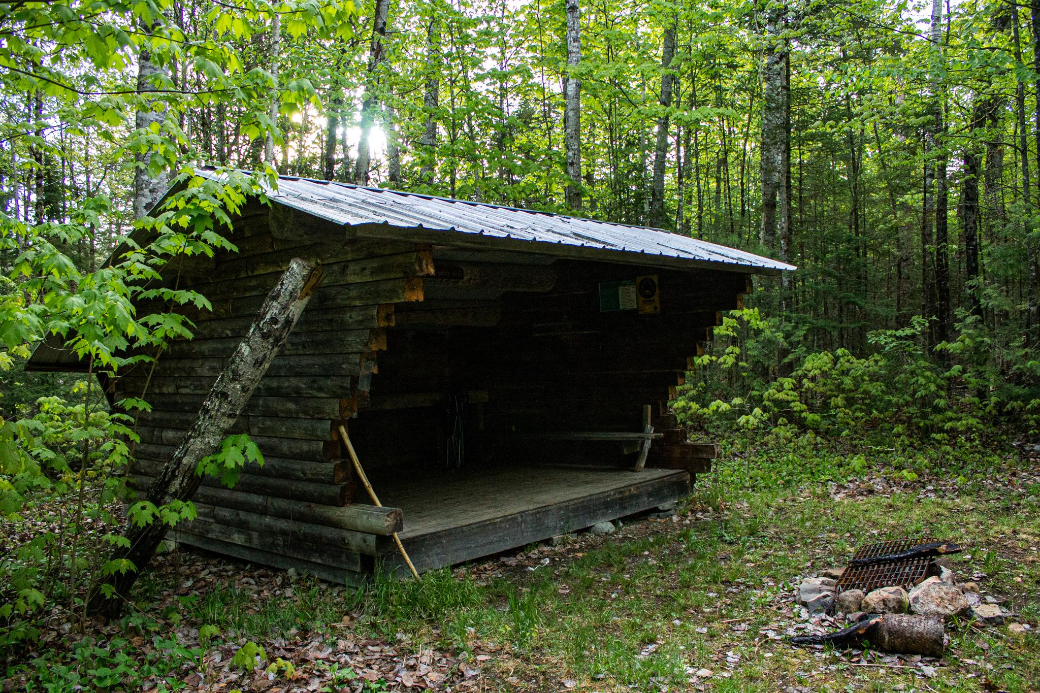 A three-sided and roofed wooden structure in the woods