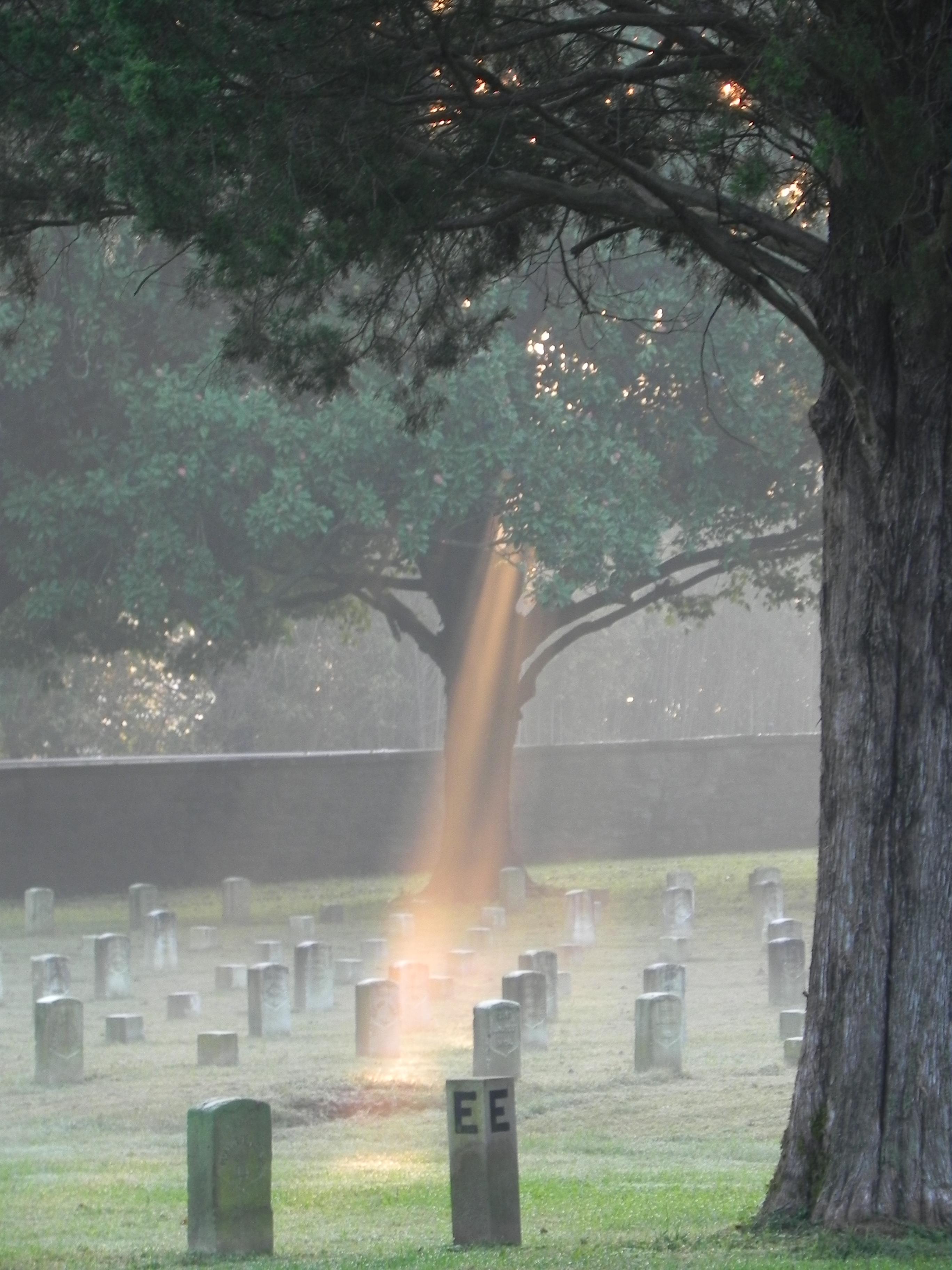 A ray of sunlight shines on the ground at Stones River National Cemetery.