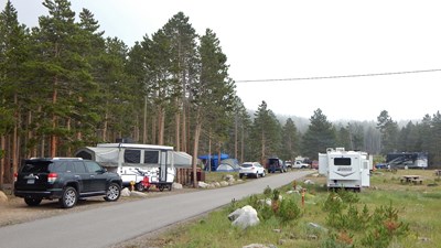 RVs are parking in camp sites in Glacier Basin Campground