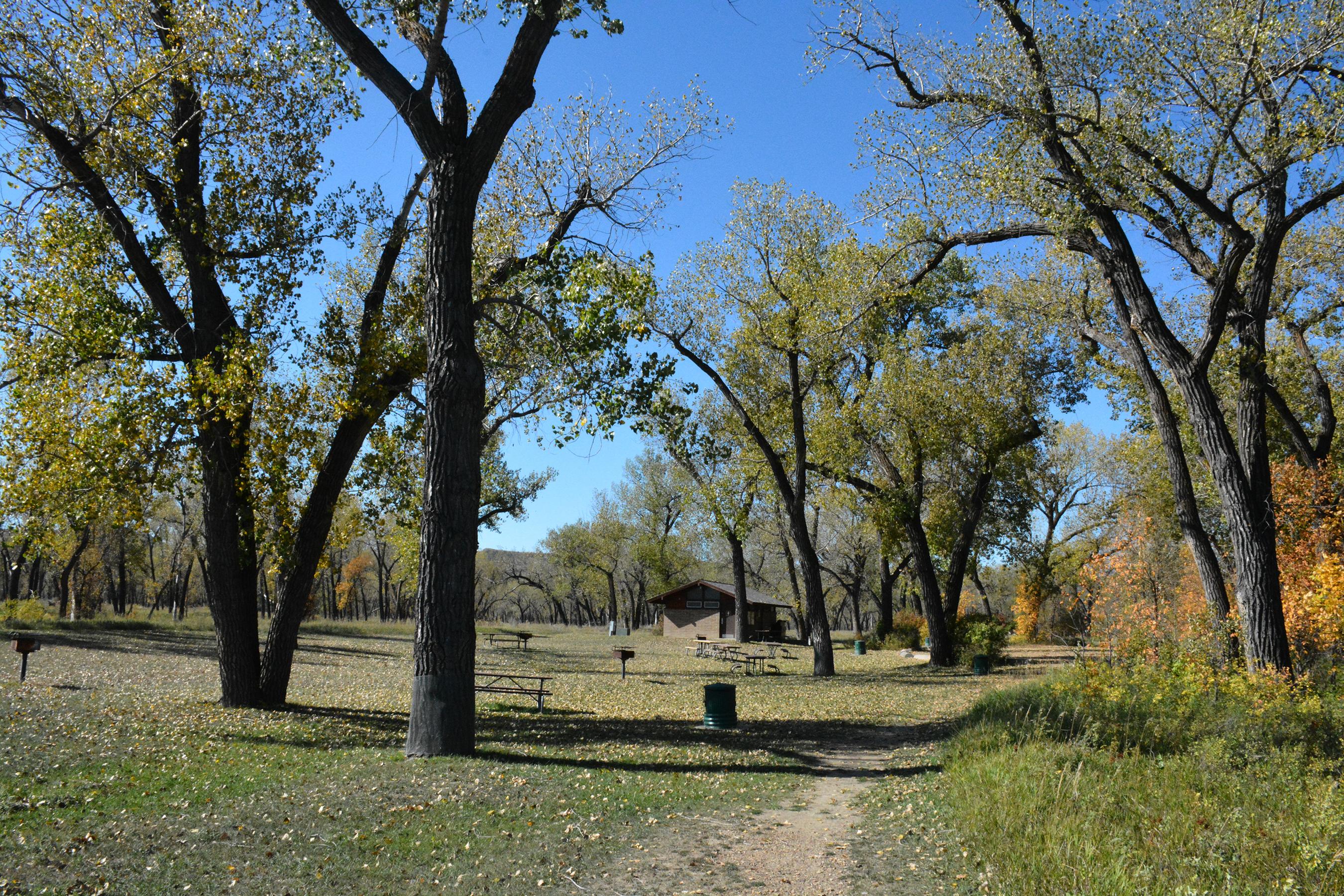 A dirt path recedes into a law interspersed with trees, picnic tables, and grills.