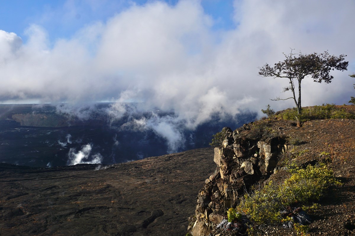 A tree stands on the edge of a misty caldera 