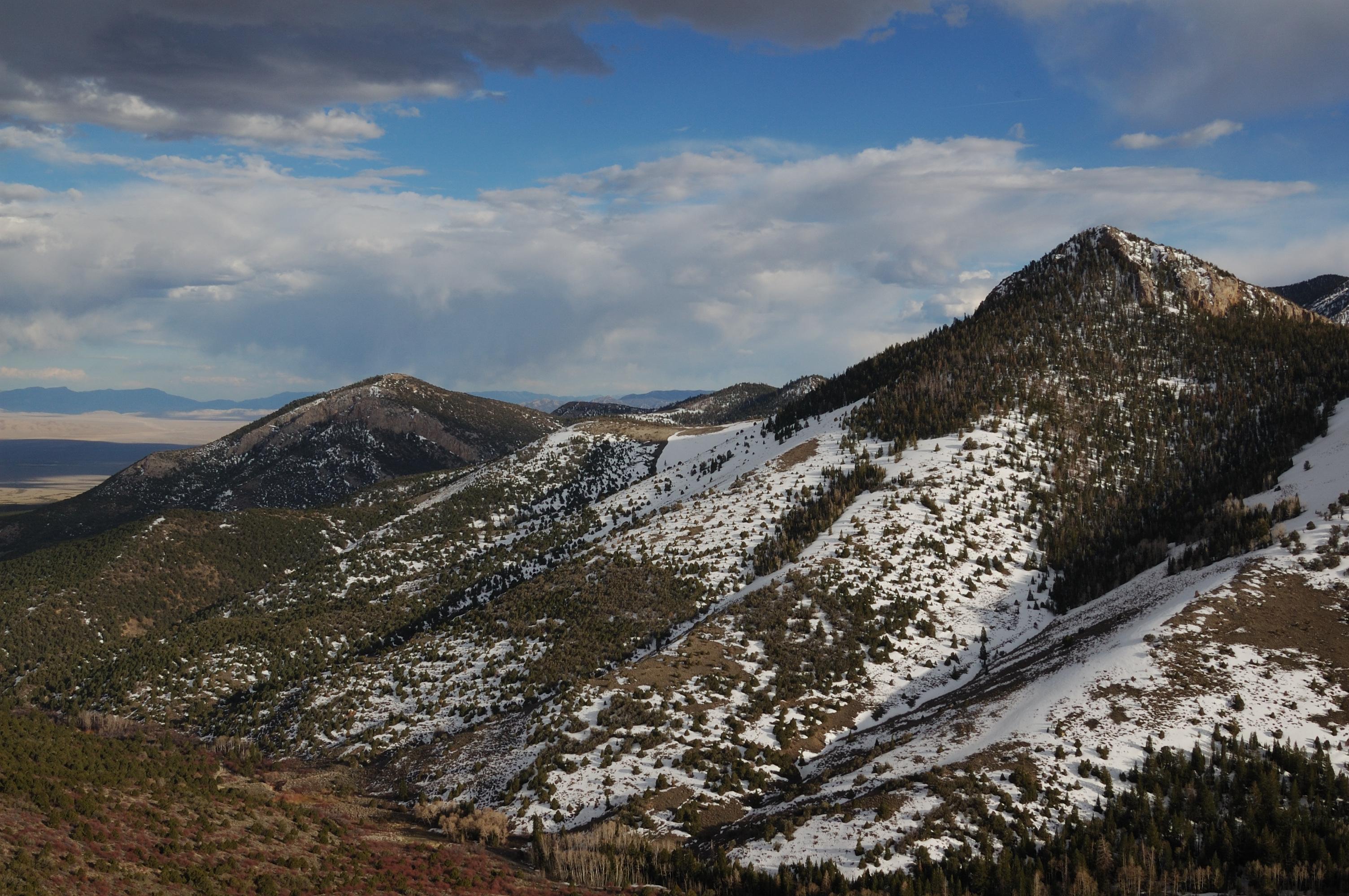 Snow covered mountains with brown trees in the foreground