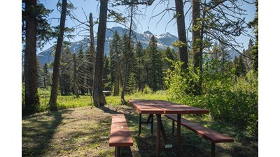 A picnic table sits on level ground with trees and mountains in the background.