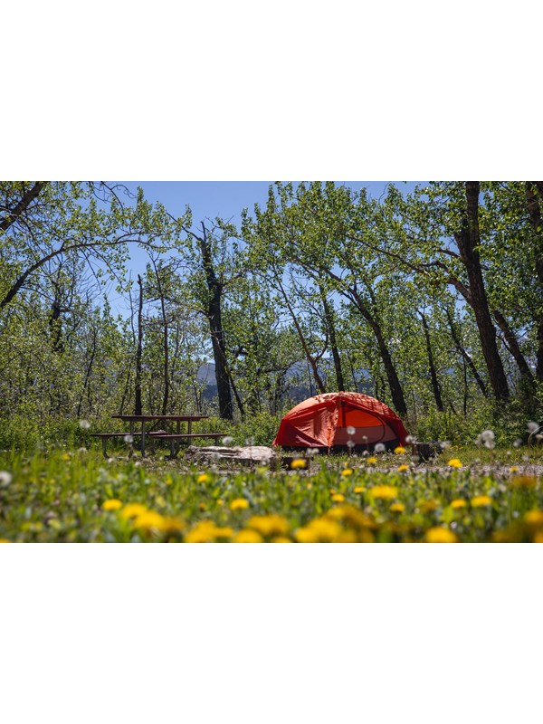 A brightly-colored tent sits next to a brown picnic table with trees in the background.