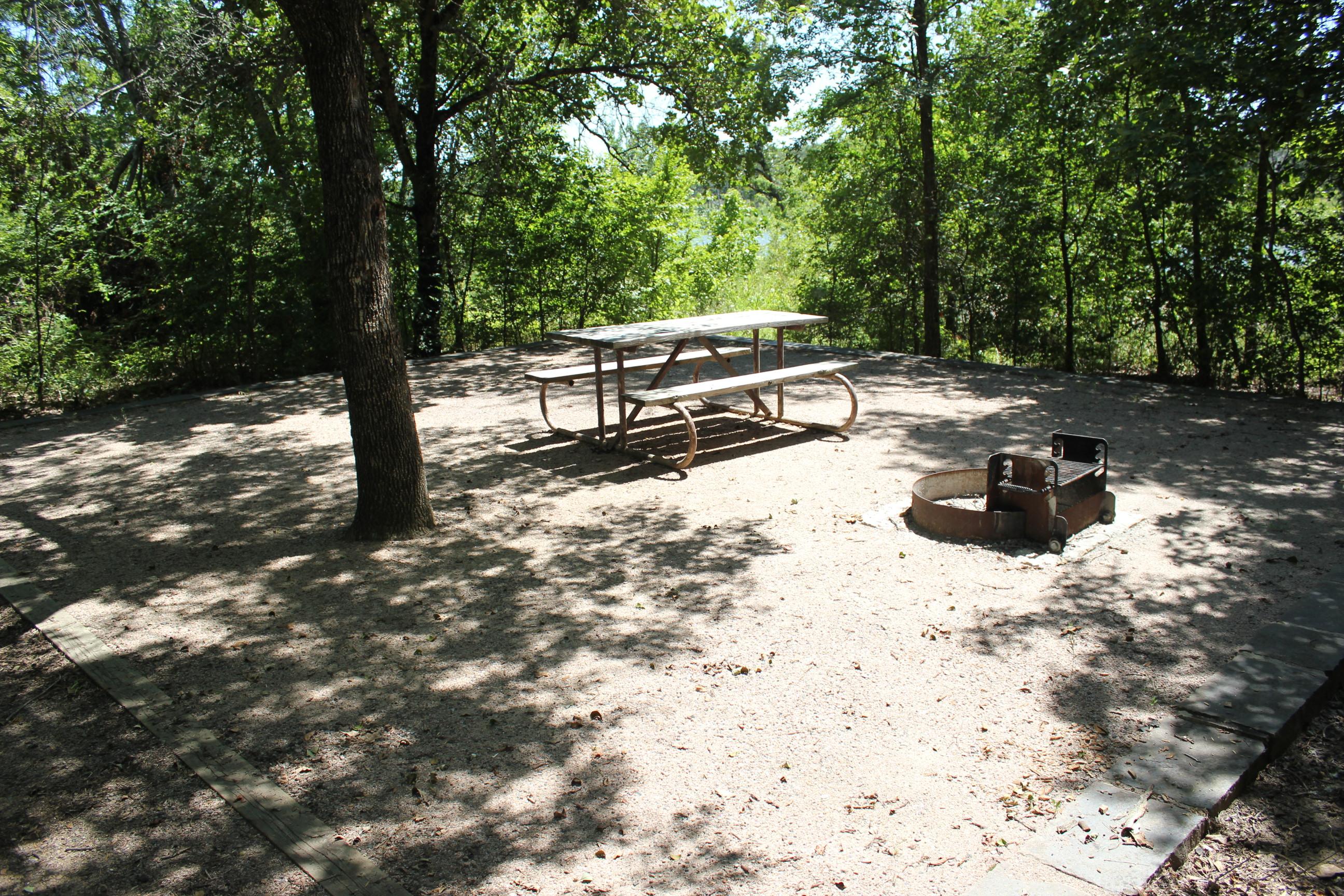 An empty campsite with a picnic table and a fire ring with trees surrounding it.