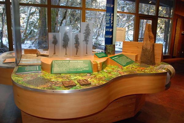 Hoh Visitor Center