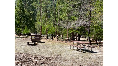 A campsite features a picnic table, fire grate, and food storage container.