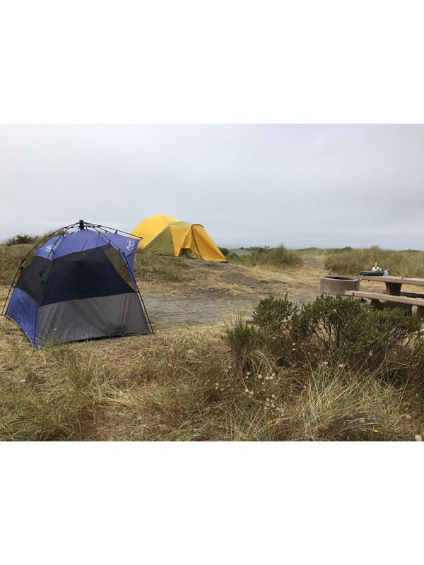 Two tents sit in sand dunes and at a grassy site