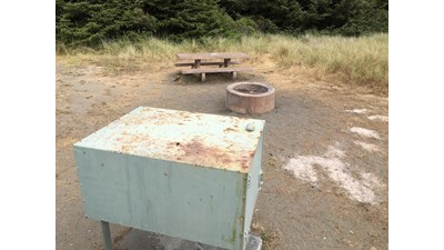Metal food storage locker, campfire ring and picnic table.