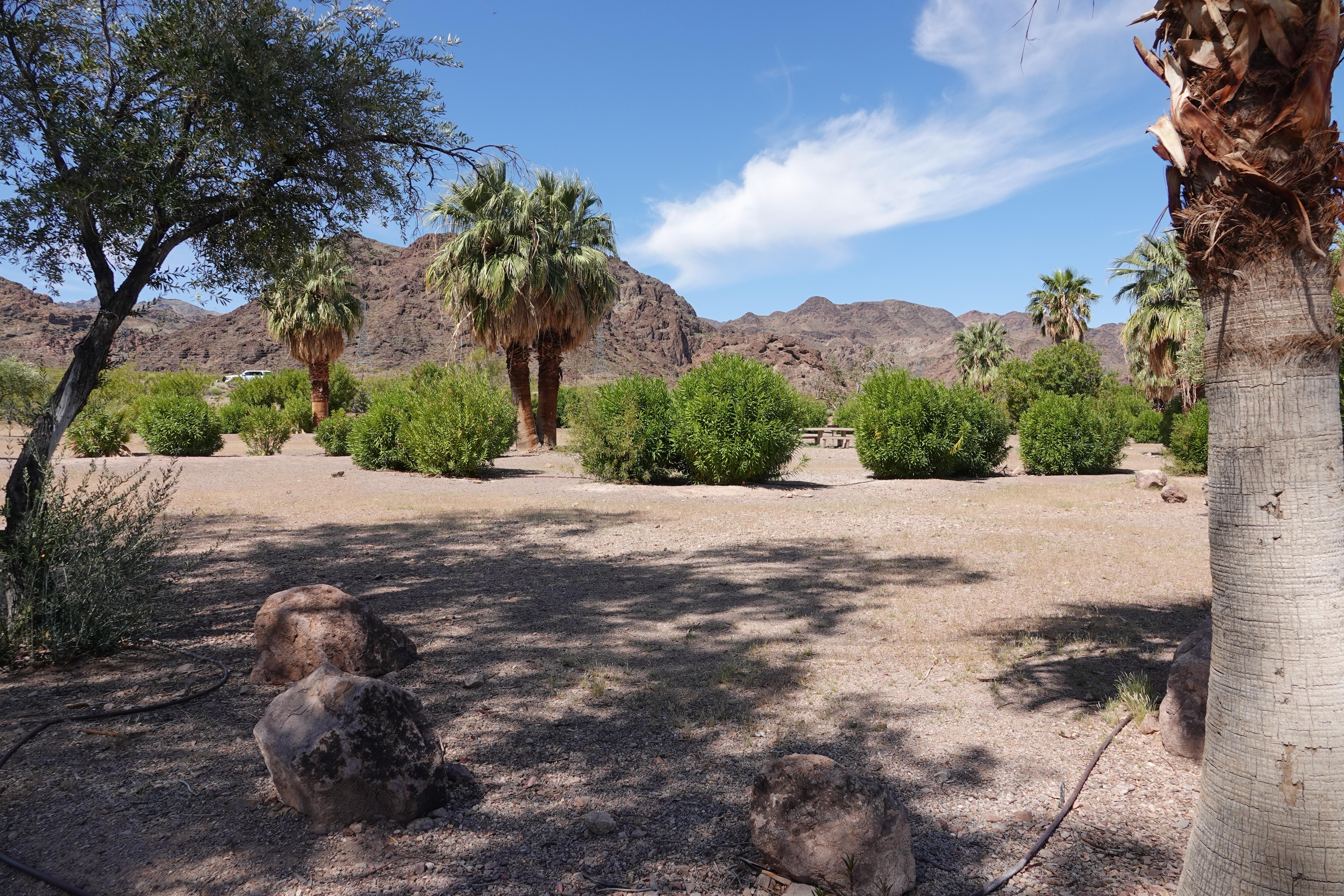 Shady campsite in the desert.