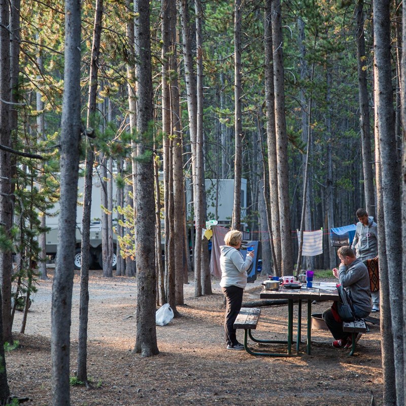 Canyon Campground Yellowstone National Park U S National Park Service