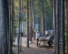 Image of campground site