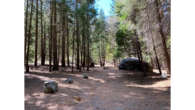 A campsite that is heavily shaded by fir trees and contains a car-sized boulder.