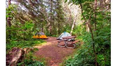 Tents pitched in a tent site with a picnic table; all surrounded by trees.
