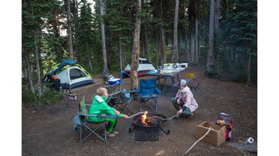 Wooded campsite at Lewis Lake