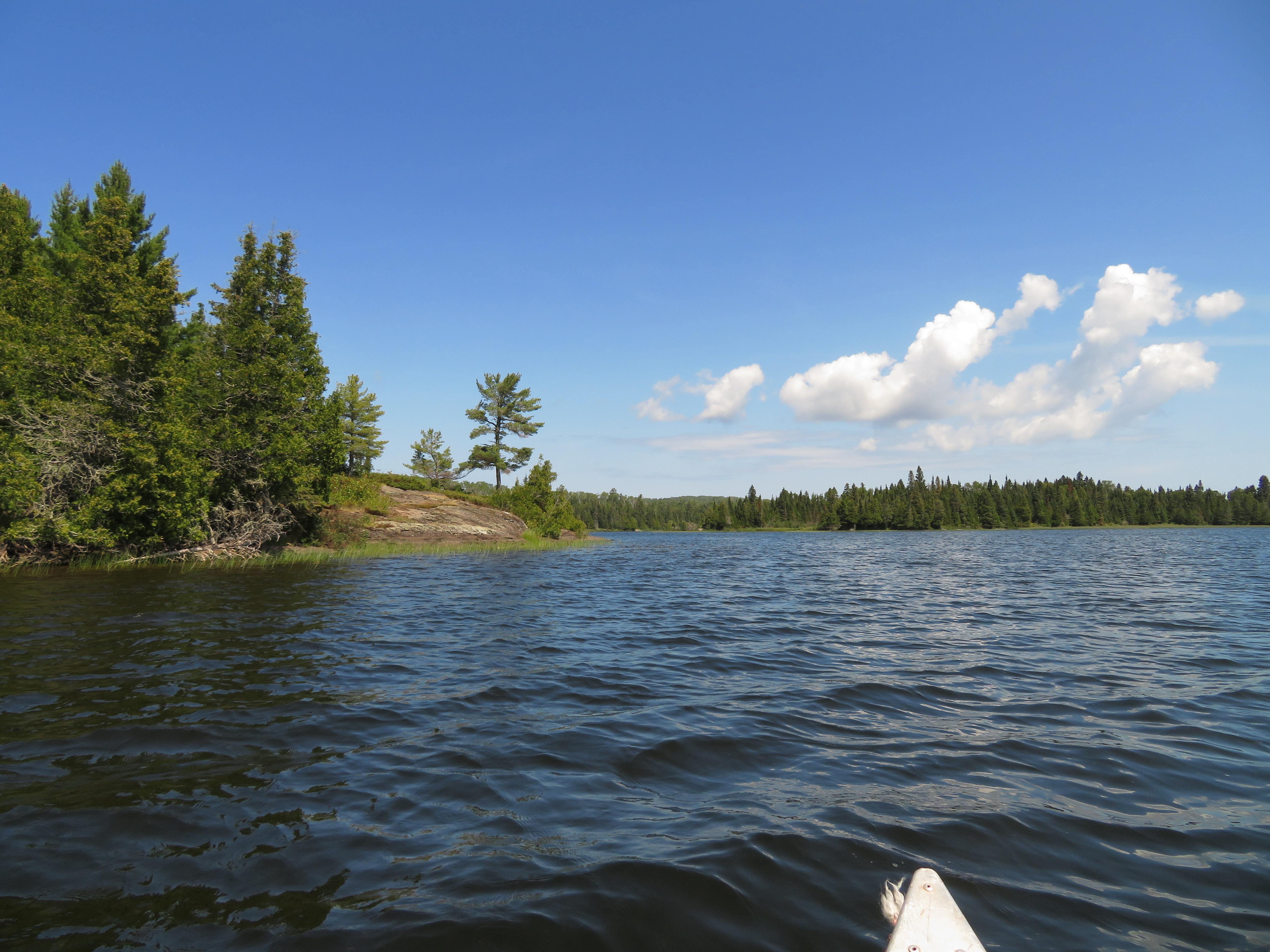 From the water, a view of the distant shoreline where the Lake Richie Canoe Campsite is located.