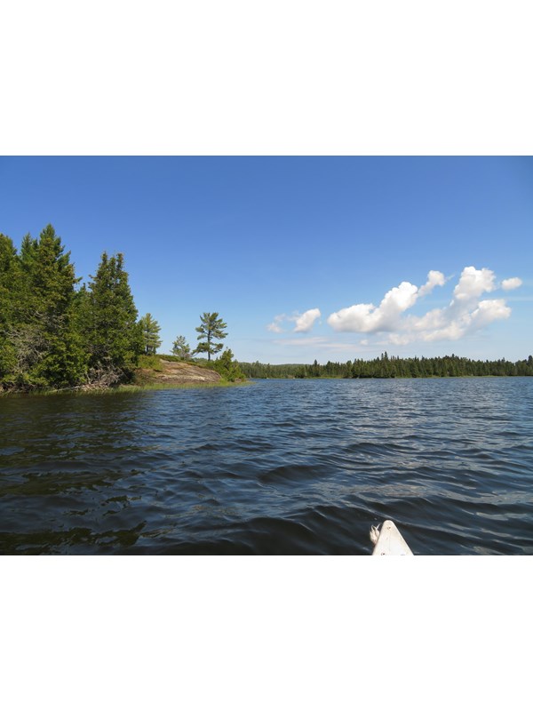 From the water, a view of the distant shoreline where the Lake Richie Canoe Campsite is located.
