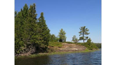 From the water, a view of the shoreline with evergreen trees, bare rock, and blue sky.