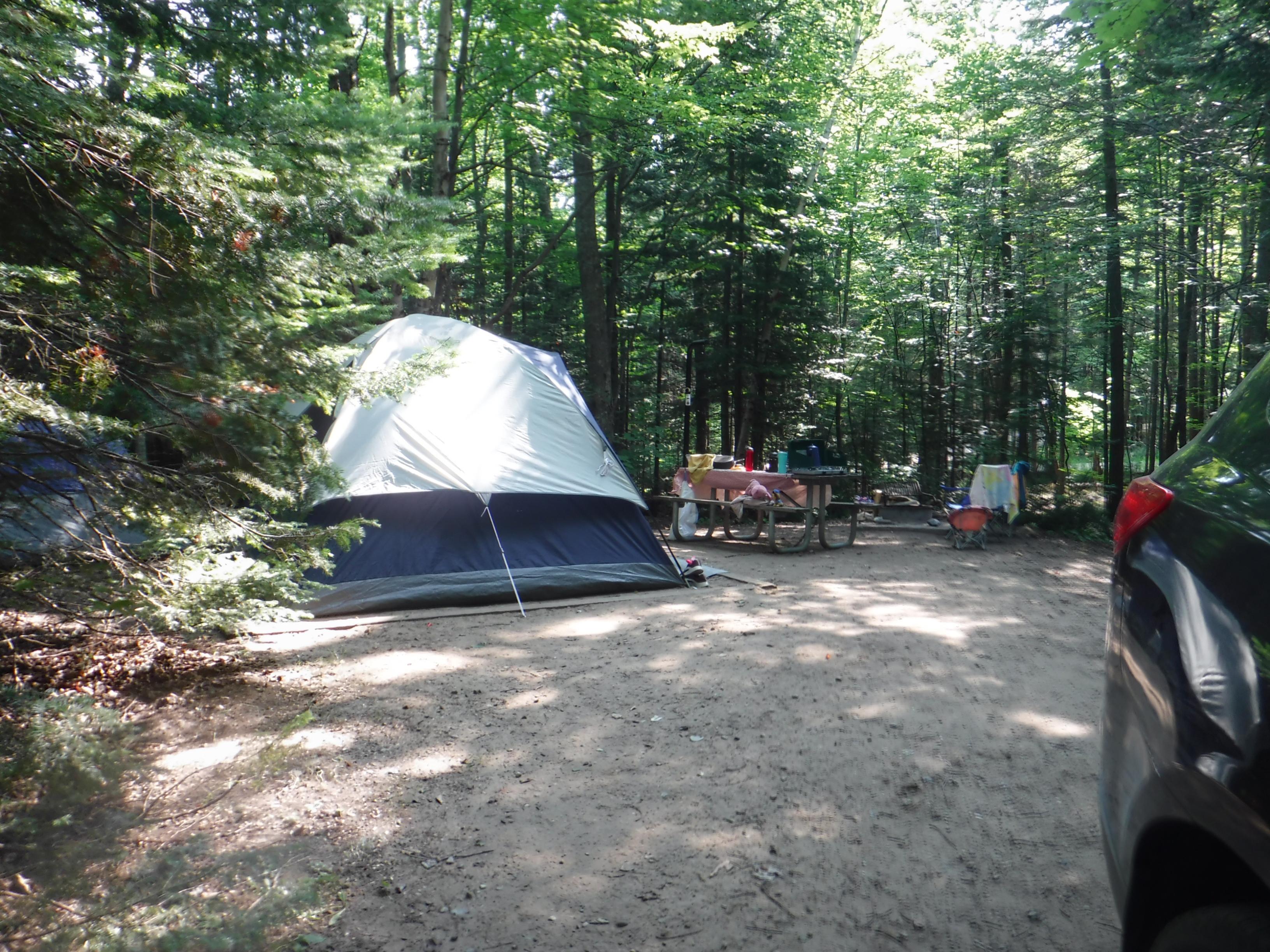 Campsite, including tent and picnic table in forest setting.