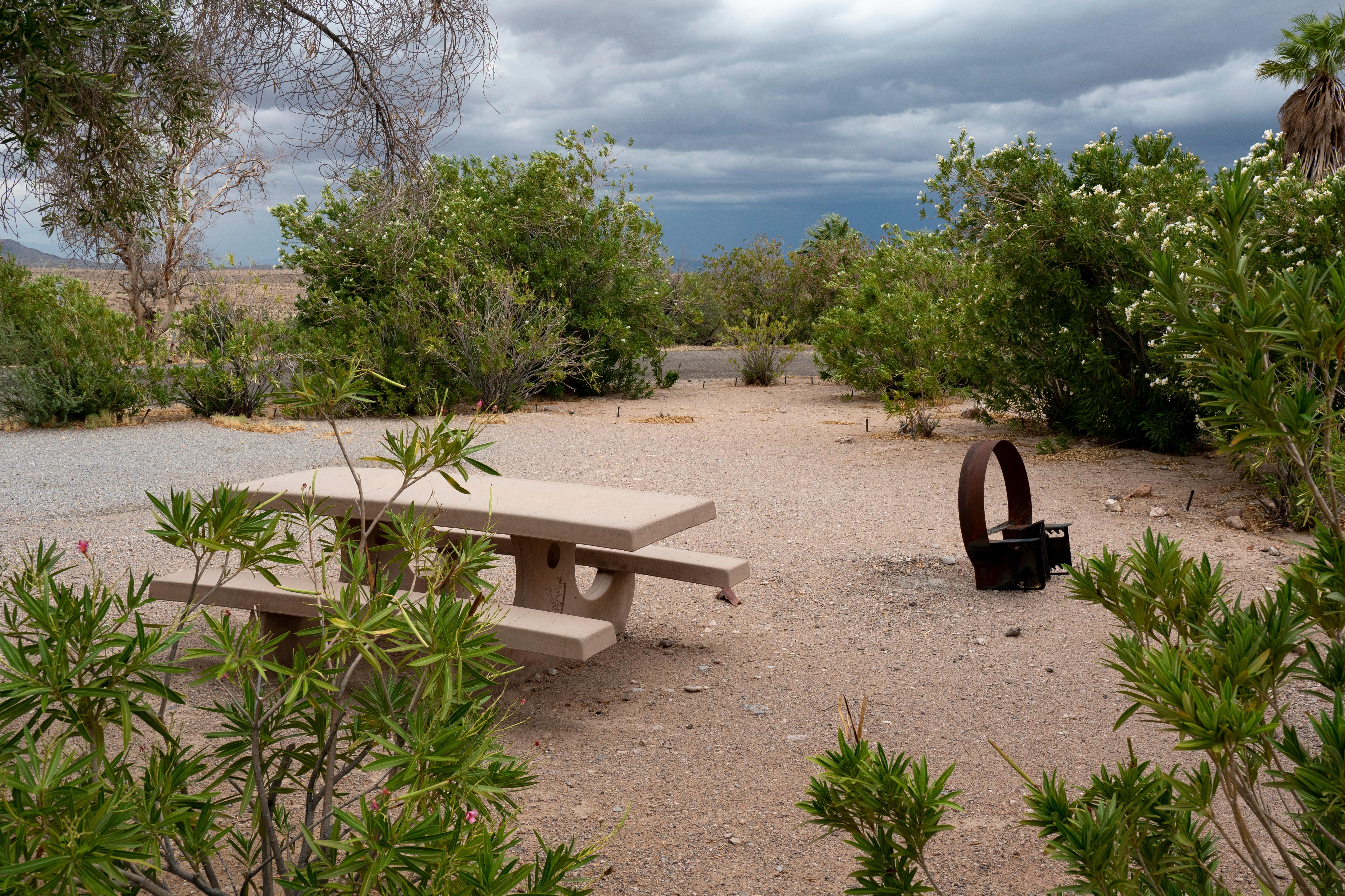 Campsite with desert trees and a picnic table.