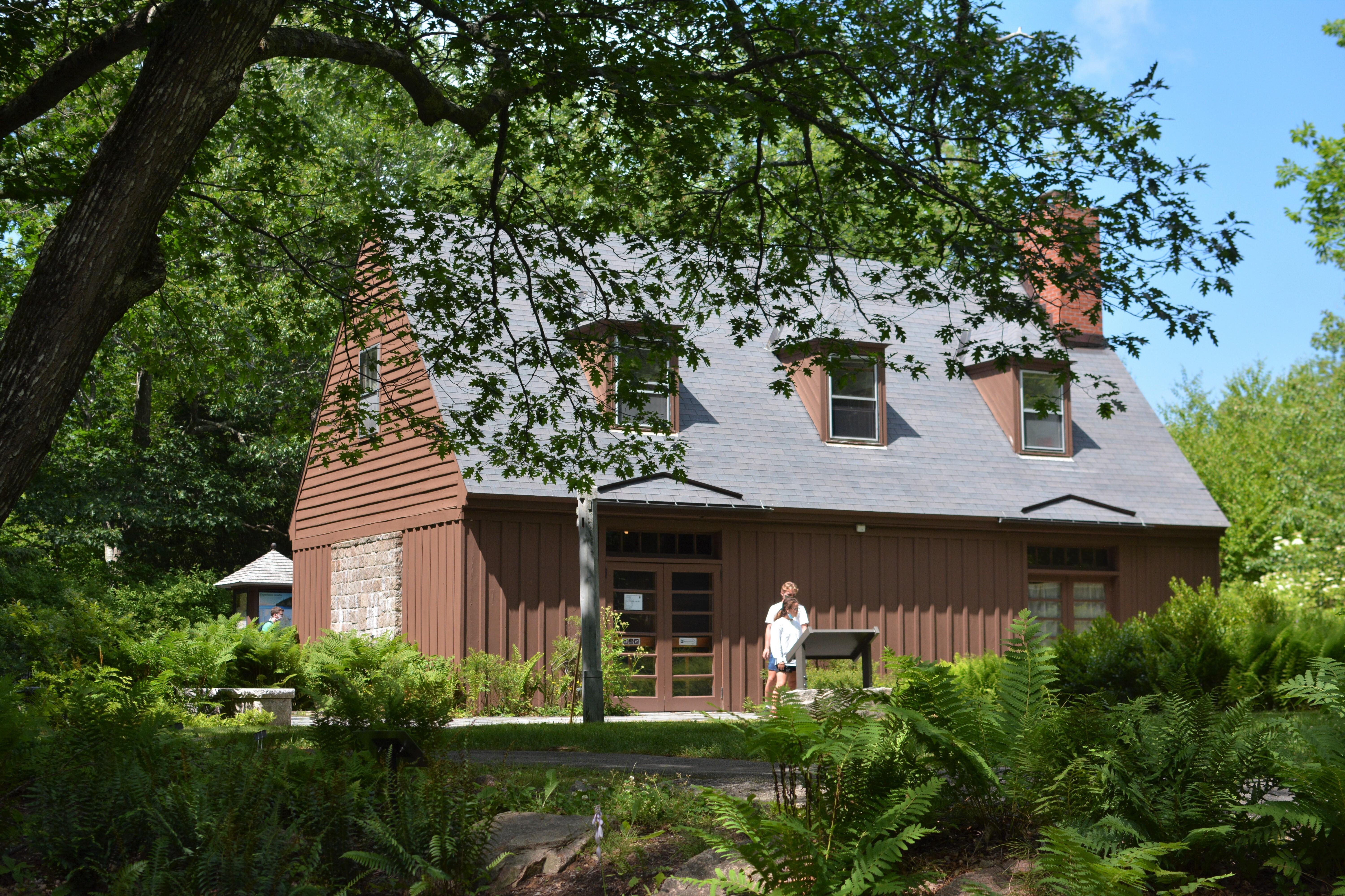 Through ferns and tree branches in the foreground, visitors read a wayside in front of a buidling