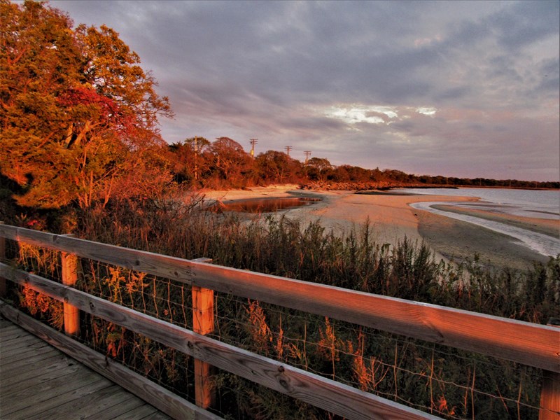 Horseshoe Cove on a Fall Day Cloudy sky over marsh and tree with red leaves