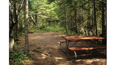 Bare ground spot between trees for setting up a camping tent with a picnic table in foreground.