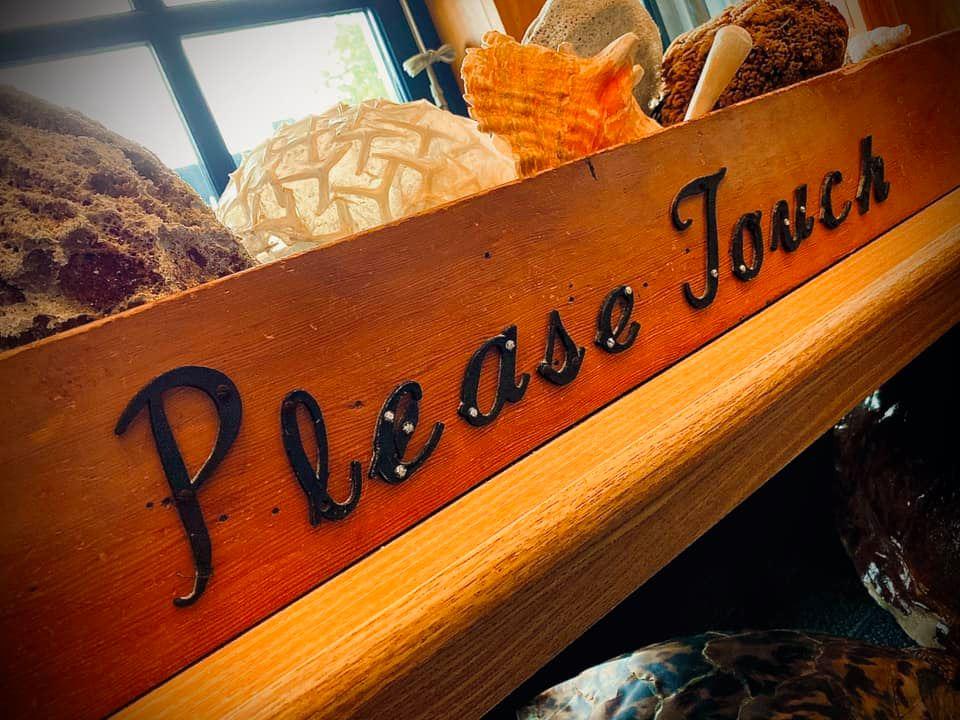 Wooden box filled with items from the ocean with the words "please touch" written on the front