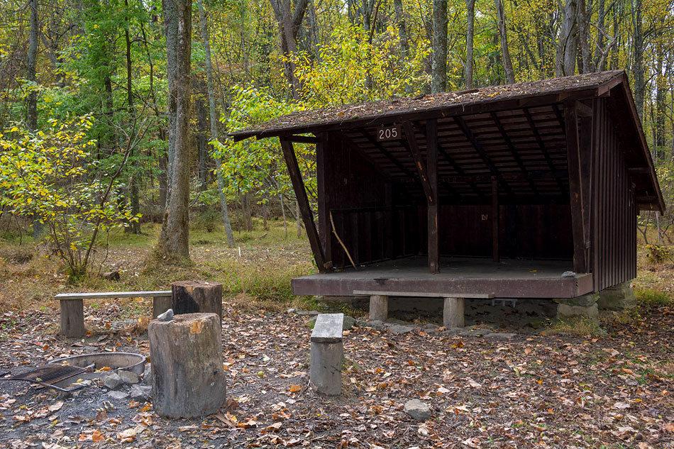 Three-sided wooden shelter