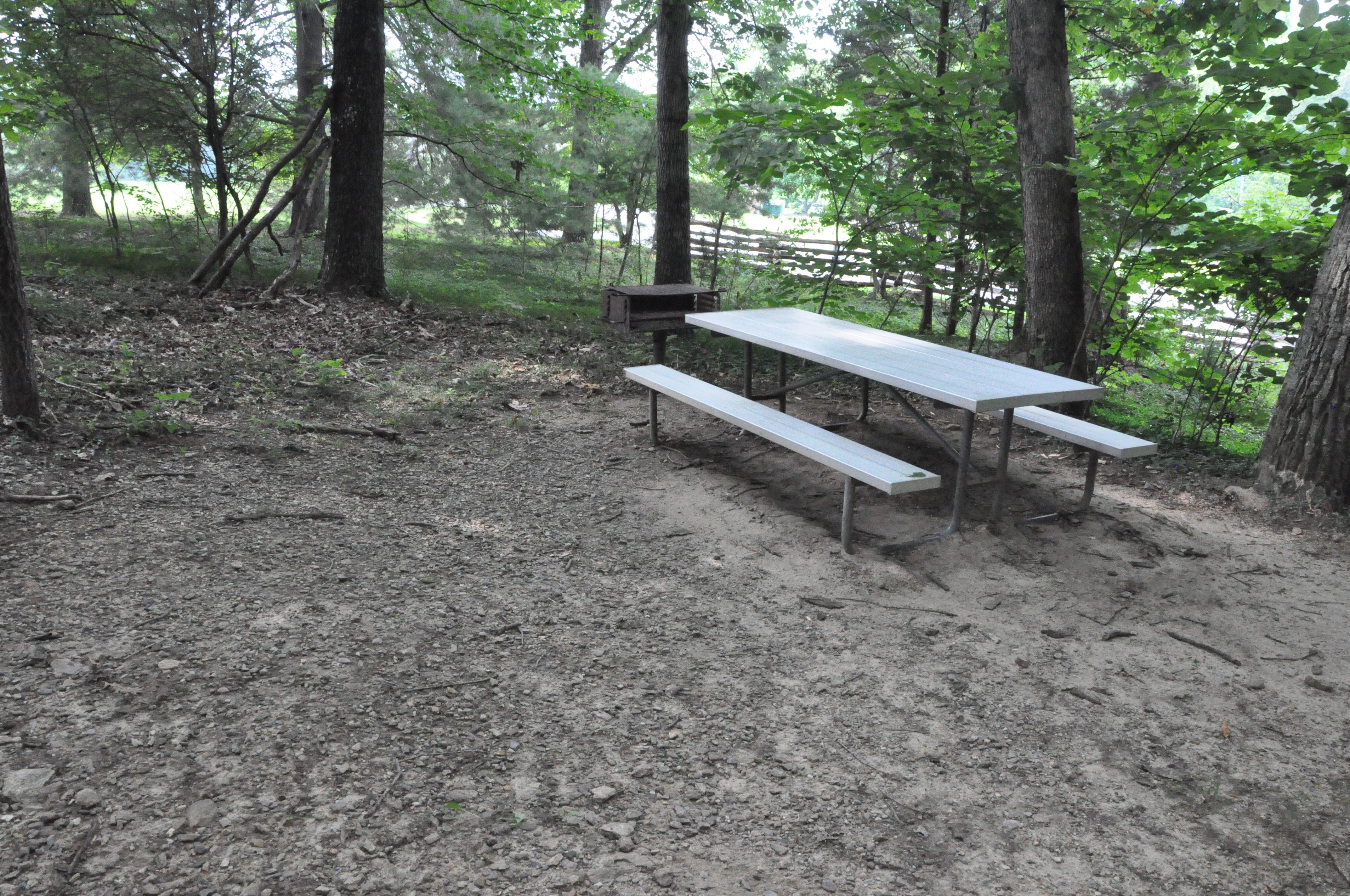 Picnic table in picnic area