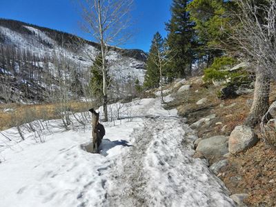 Hike on a trail with snow and ice