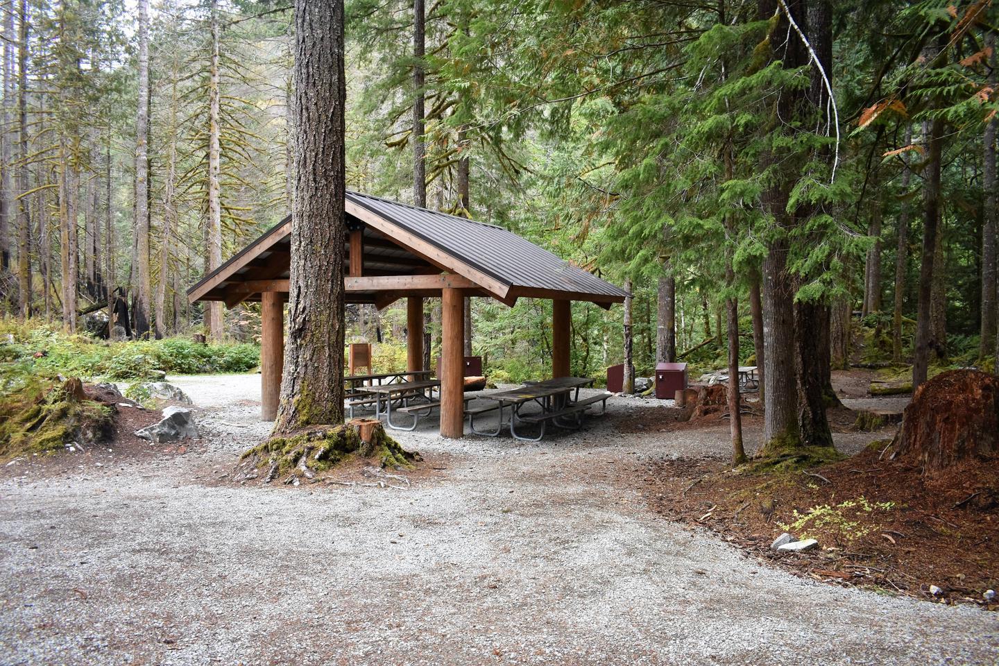 A forested campsite with picnic tables under a pavillion.