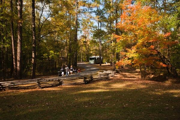 A family walking on a wooded campground road edged by split rail fence. Trees are in fall color.