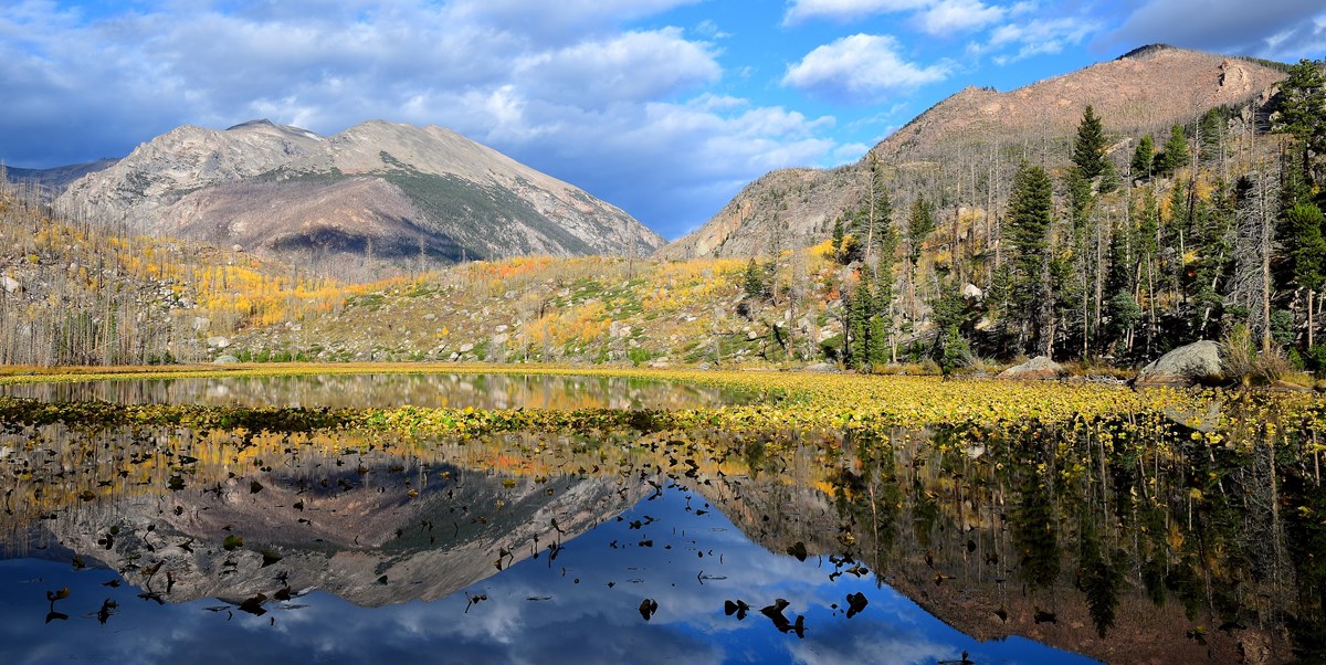 Cub Lake with reflections. Yellow and brown grasses line the edge of the lake.