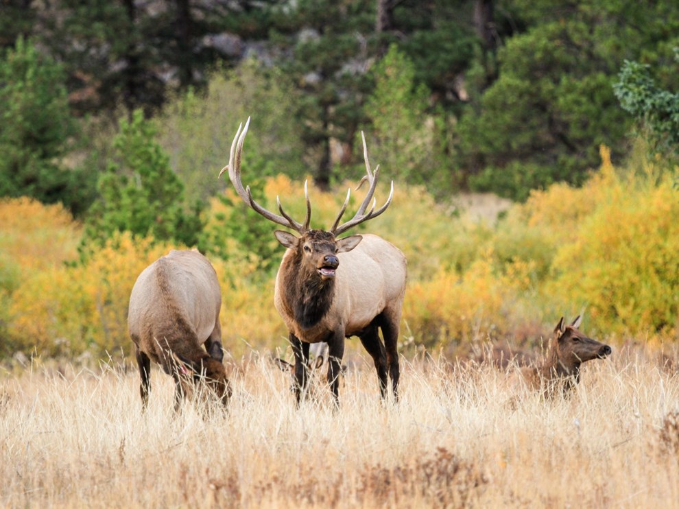 Rocky Mountain National Park