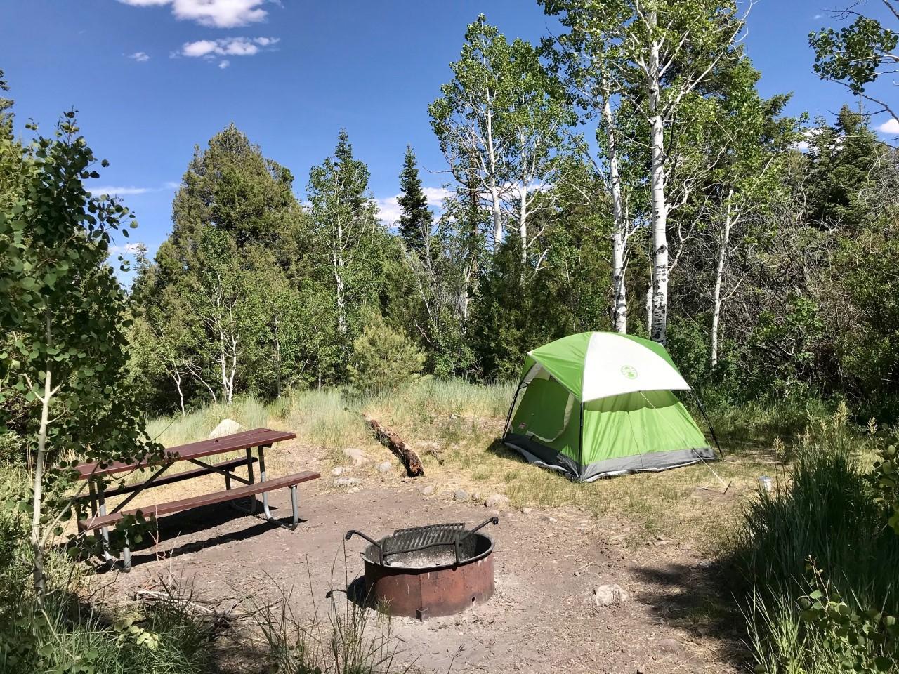 Lower Lehman Campsite. Picnic table, grill, green tent, and blue skies.