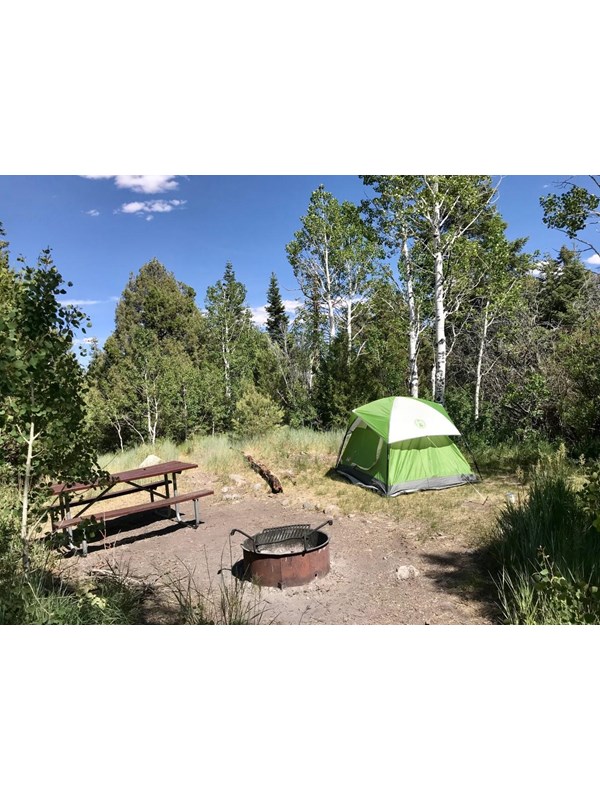Lower Lehman Creek Campsite. Picnic table, grill, green tent, and blue skies.
