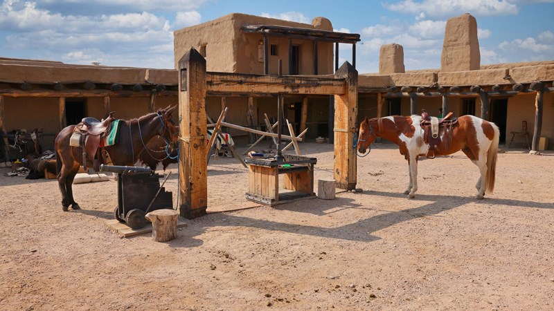 Horse and Mule in the Plaza Two animals are tied to a wooden frame in the interior of a large adobe structure.