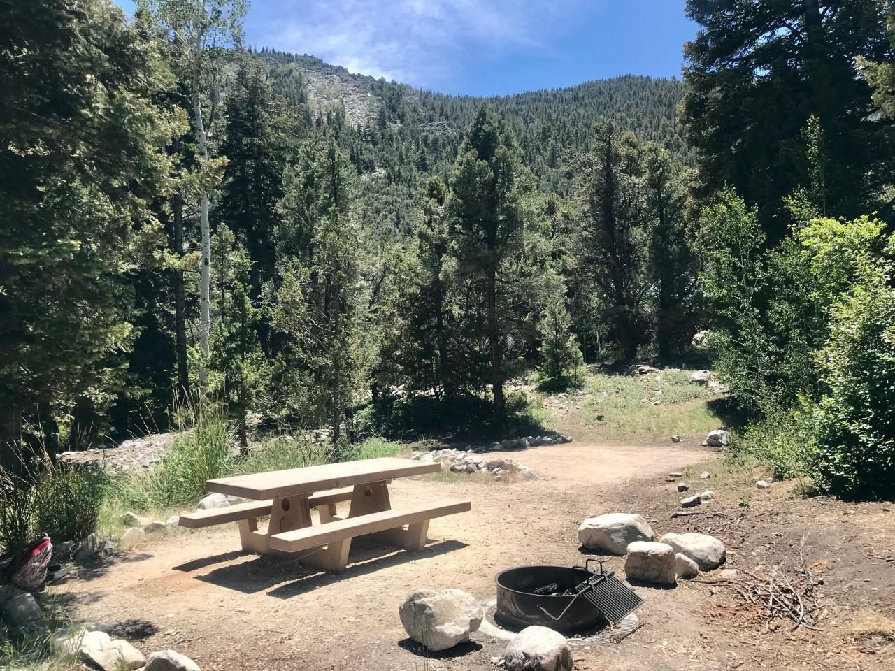 Picnic table, grill, empty tent pad. Surrounded by pine trees with a view of mountain tops.