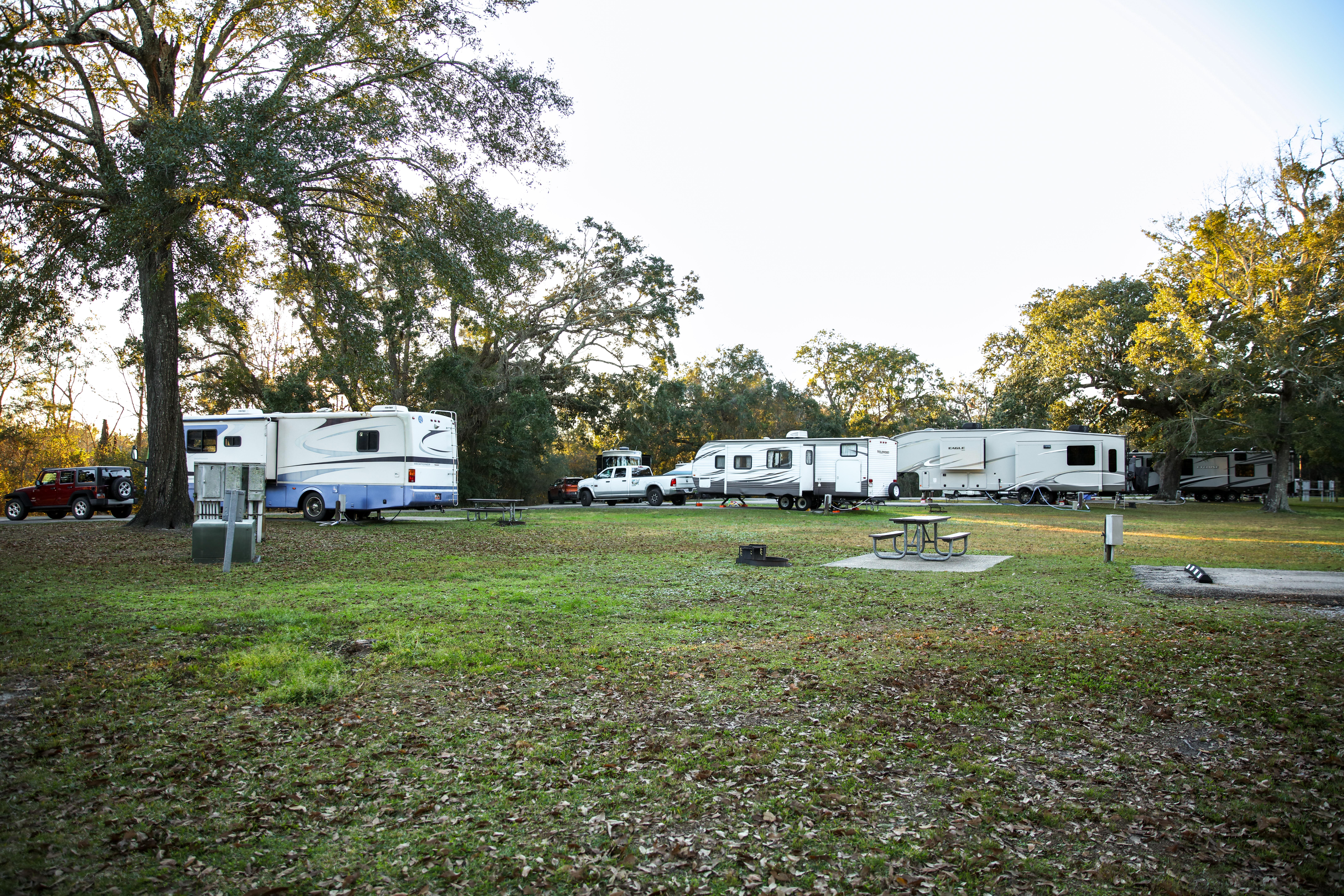 Several RVs stand in front of a grassy field.