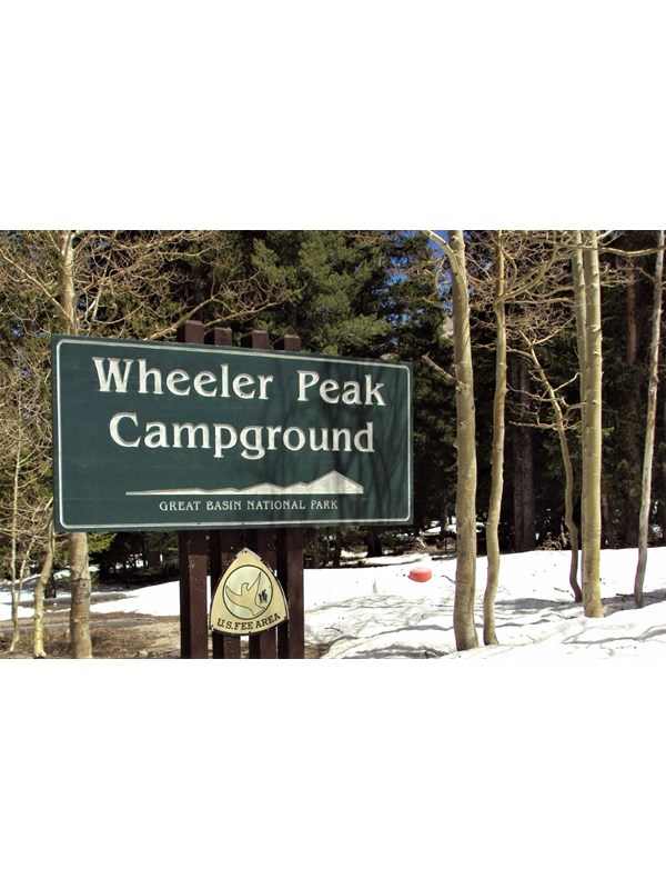 Green sign with white text showing the way to "Wheeler Peak Campground". Snow on the ground.