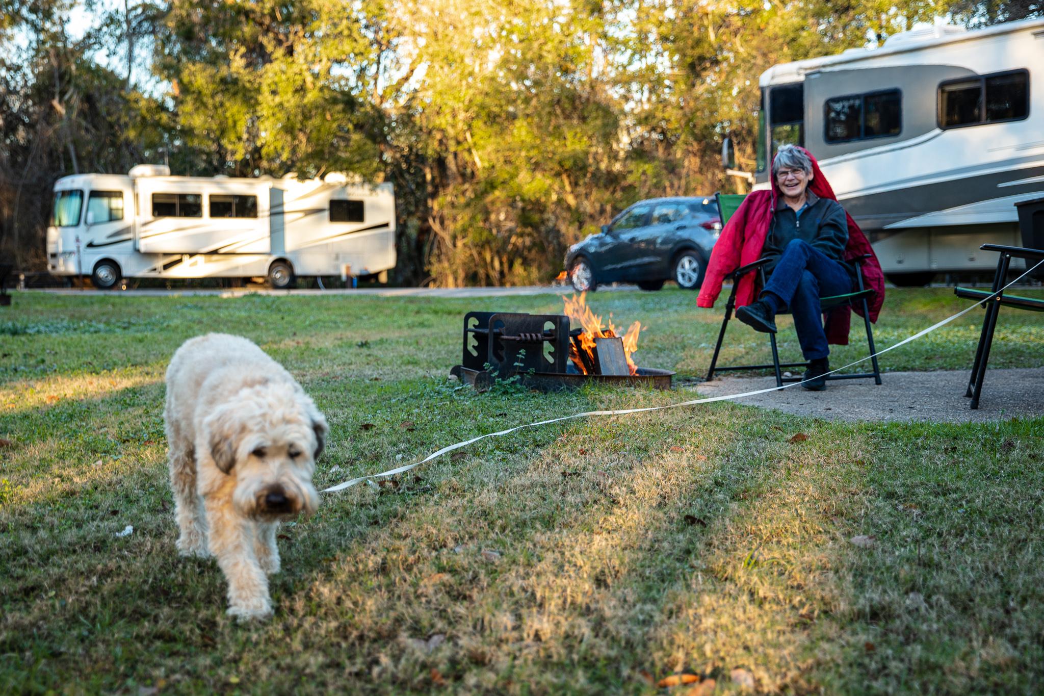 A dog and owner sit in front of a campfire at their RV site.