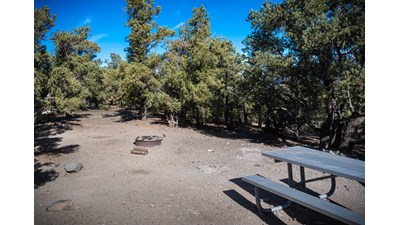 Dirt open area with scattered 1 ft boulders, metal picnic table, metal fire ring, & Evergreen trees.