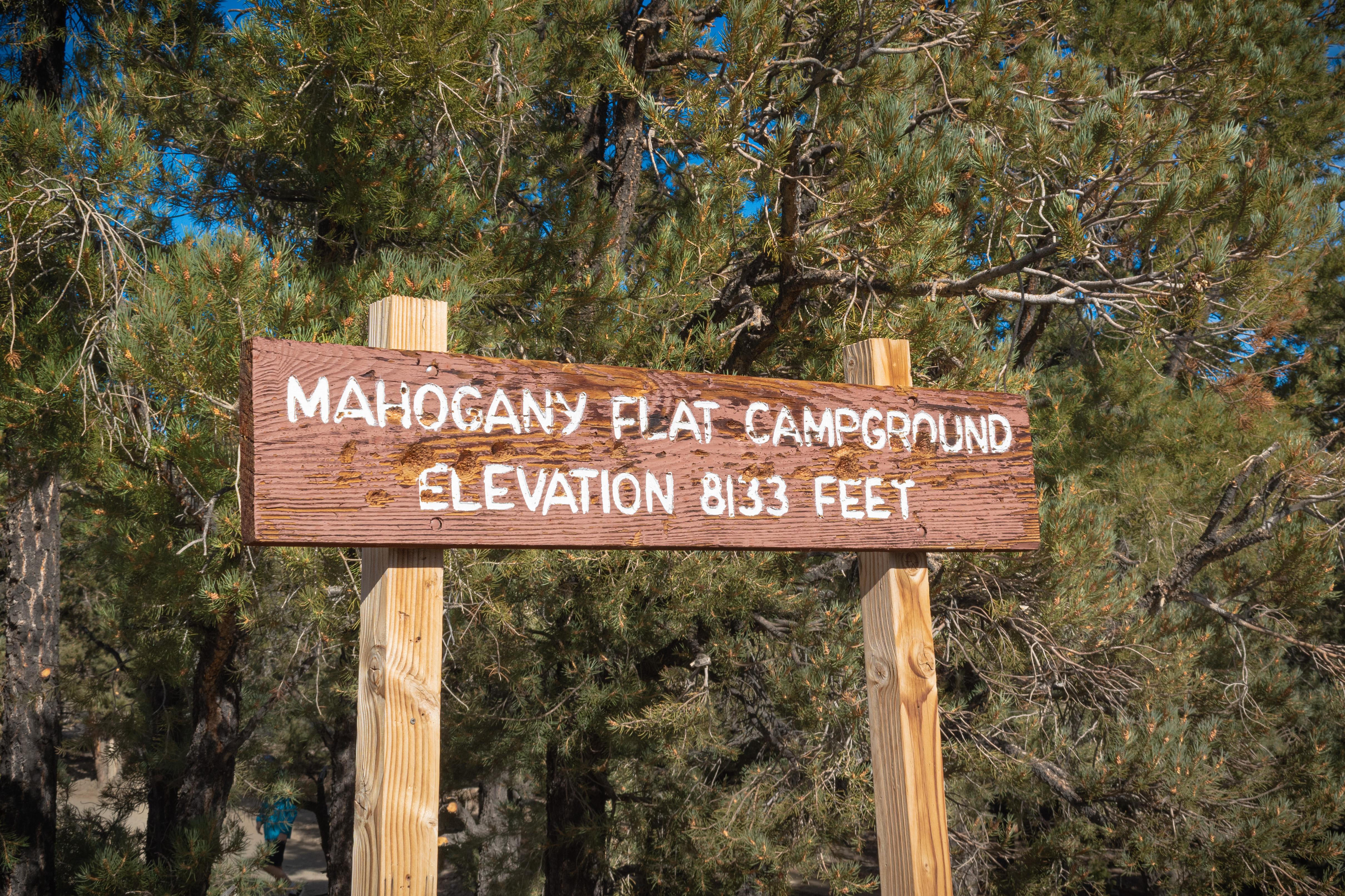 Pine trees surround wooden sign on wood posts reads Mahogany Flat Campground Elevation 8133 Feet.