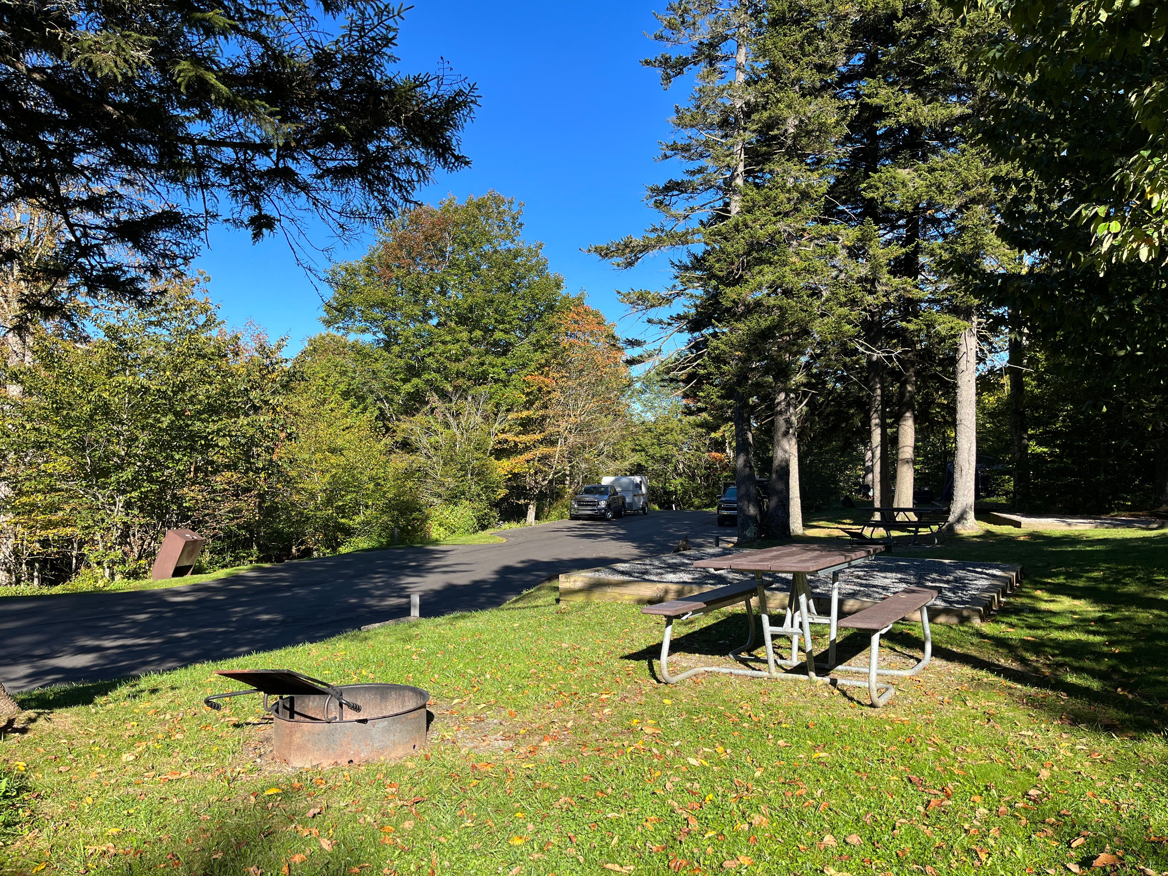 A fire ring, picnic table, and gravel tent pad in the foreground surrounded by trees and grass.