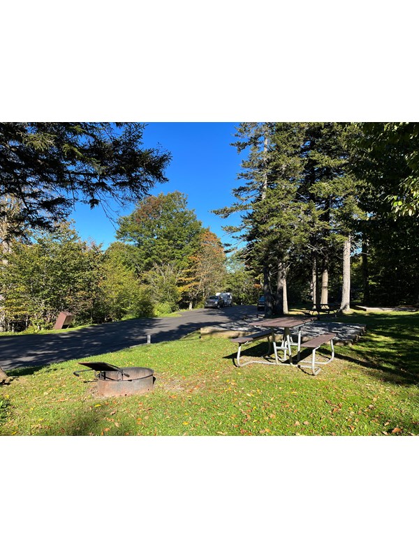 A fire ring, picnic table, and gravel tent pad in the foreground surrounded by trees and grass.