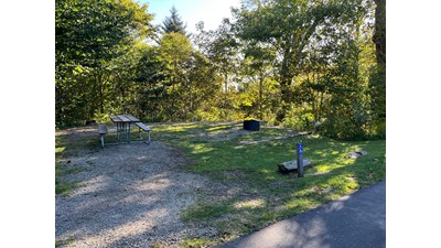 A wheelchair accessible campsite with a picnic table, fire ring, and tent pad near grass and trees.