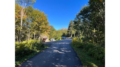 A paved road lined by grass, shrubs, and trees. A car, trash can, and restroom are in the distance.