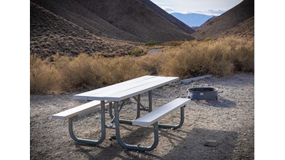 Metal picnic table & metal fire ring on flat dirt clearing lined in the back by small dried bushes.