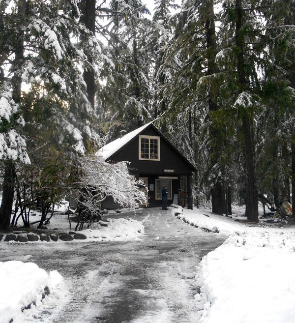 Snowy paths lead to a small wood building surrounded by towering evergreen trees.